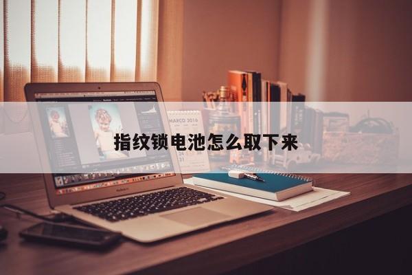 指纹锁电池怎么取下来