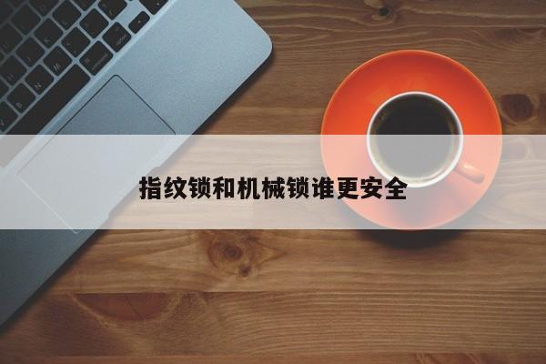 指纹锁和机械锁谁更安全
