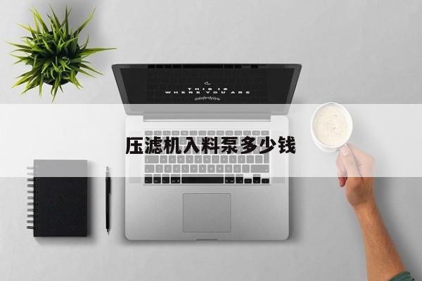 压滤机入料泵多少钱