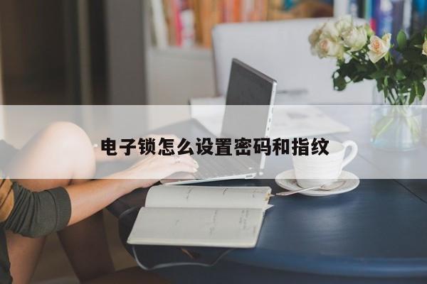 电子锁怎么设置密码和指纹