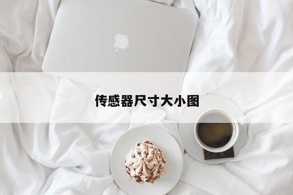 传感器尺寸大小图