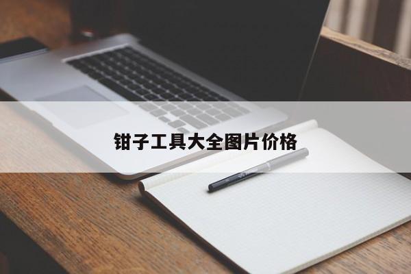 钳子工具大全图片价格