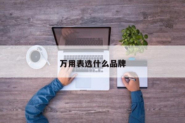 万用表选什么品牌