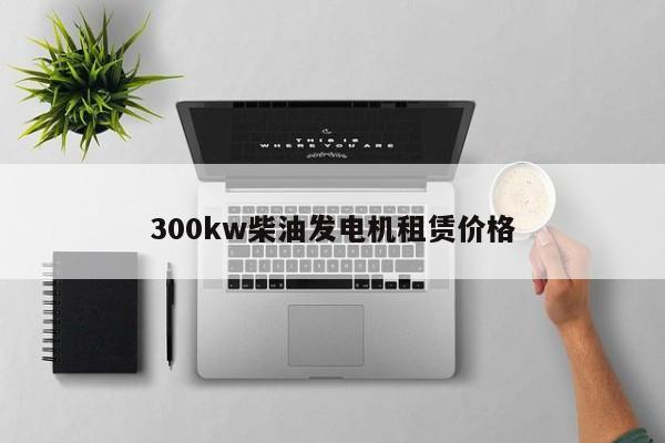 300kw柴油发电机租赁价格