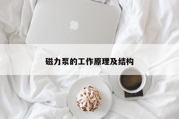磁力泵的工作原理及结构