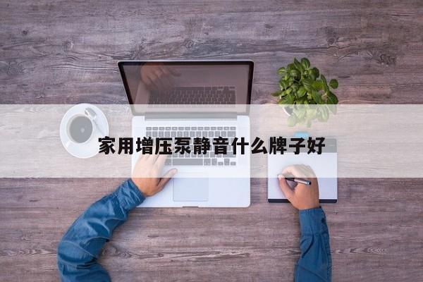 家用增压泵静音什么牌子好