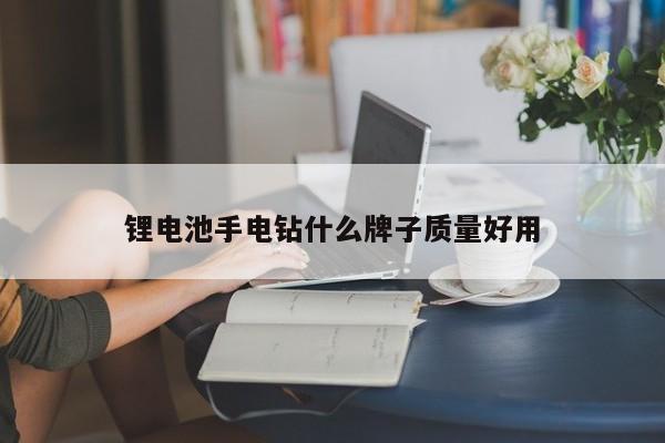 锂电池手电钻什么牌子质量好用