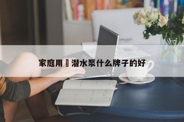 家庭用旳潜水泵什么牌子的好