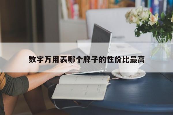 数字万用表哪个牌子的性价比最高