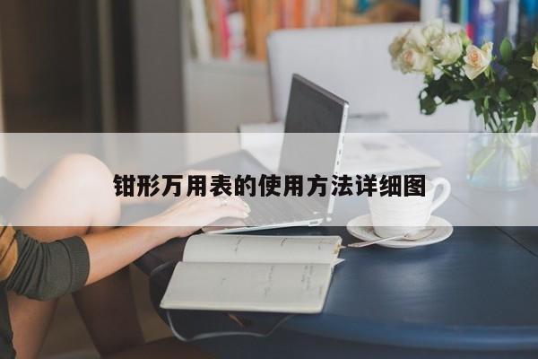 钳形万用表的使用方法详细图
